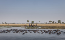 Botswana-Okavango Delta-Okavango Big Five Safari - 6 days